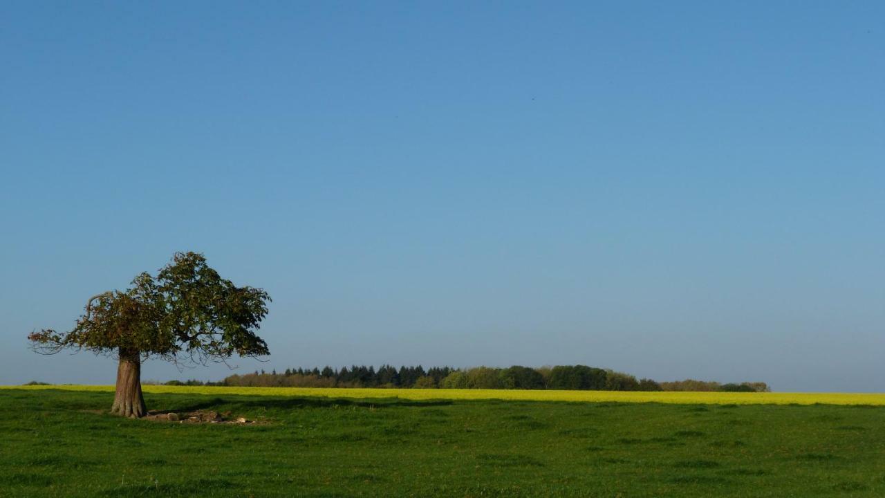 Les Houx De Mathieu Villa Engis Bagian luar foto